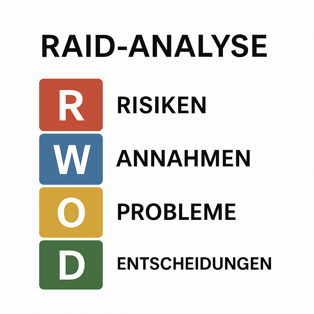 RAID-Analyse