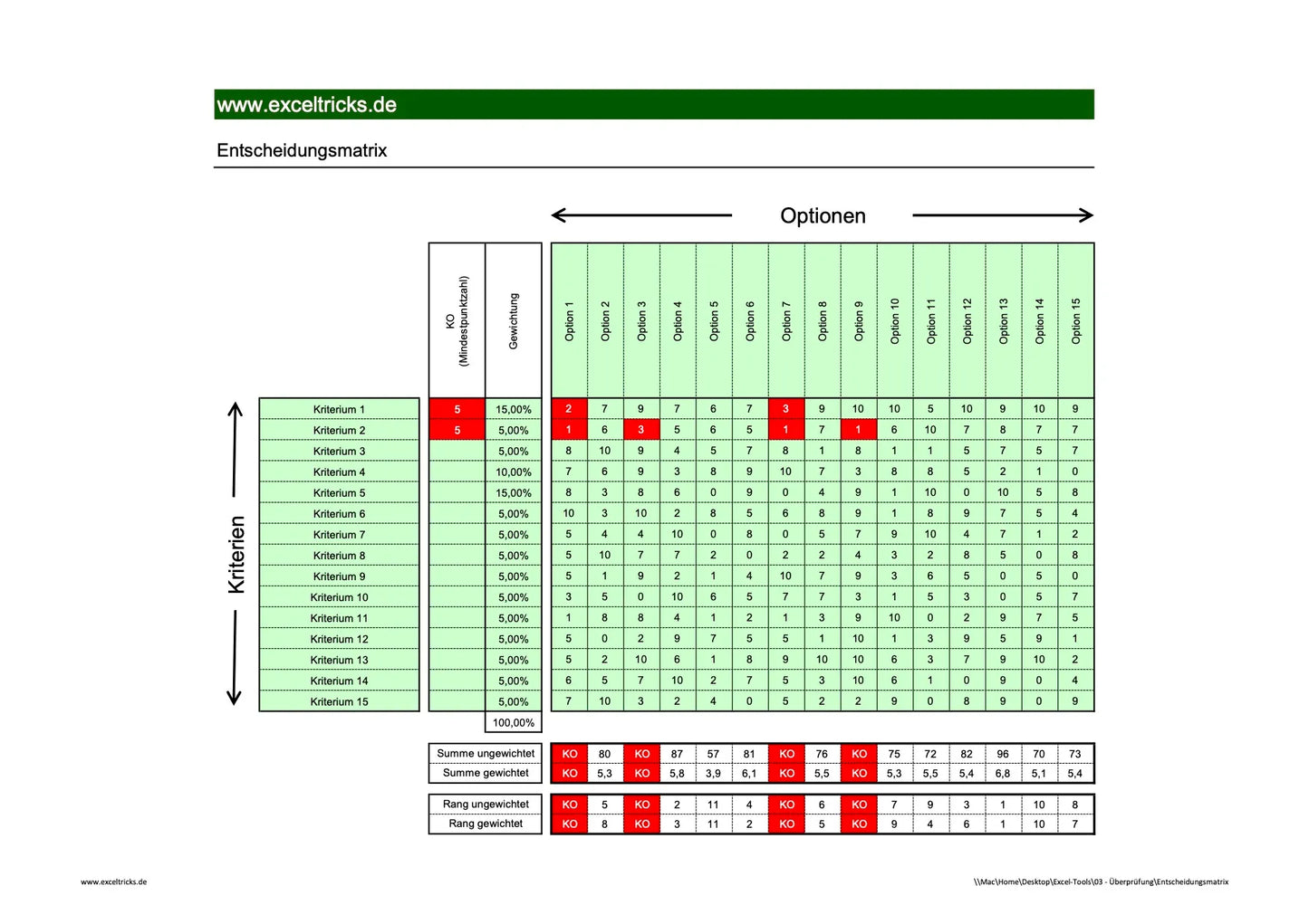 Excel-Vorlage: Entscheidungsmatrix