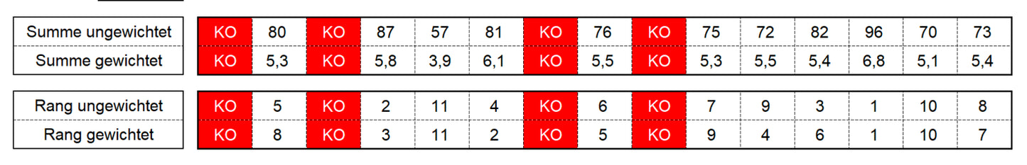 Excel-Vorlage: Entscheidungsmatrix