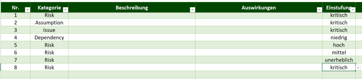 Excel-Vorlage: RAID-Dashboard